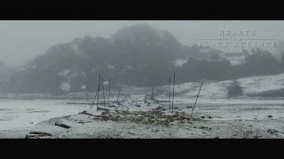 Hearts of Black Science - Wolves at the Border feat. Heike Langhans