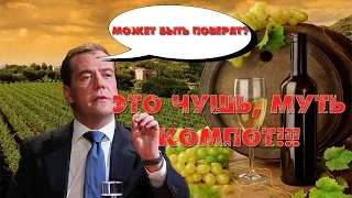 В Питере троллят Медведева - Чушь, муть и компот!