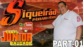 CD AO VIVO SIQUEIRÃO PÁSSARO FÊNIX NO POINT DA BR PART-01 DJ SIQUEIRA 22.02.2020