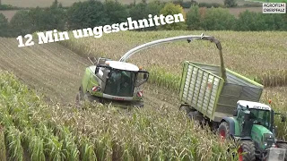 12 Min UNCUT - Bergauf im Mais mit dem Claas Jaguar 970 - LU Winderl - Maishäckseln 2022