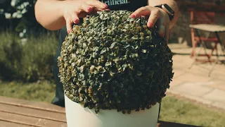 How to plant artificial topiary balls