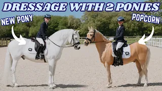 BRITISH DRESSAGE TEST SHOW WITH POPCORN AND OUR NEW PONY!