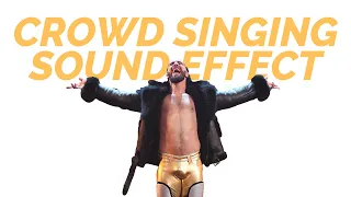 Seth Rollins Crowd Singing Effect (1 Hour)