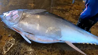 300 kg Bluefin Tuna Cut Perfectly right now in 3 minutes／超過300公斤的黑鮪魚 3分鐘完美快速切割
