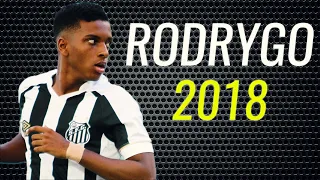 Rodrygo • 2018 • Santos • Magic Goals & Skills • HD