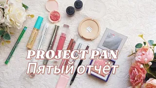 PROJECT PAN 2024. Пятый отчёт.