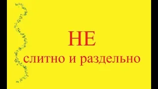 Слитное или раздельное написание частицы НЕ с различными частями речи.