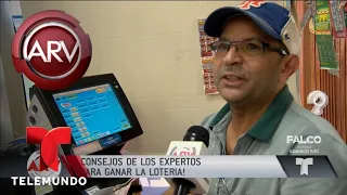 Consejos de los expertos para ganar la lotería | Al Rojo Vivo | Telemundo