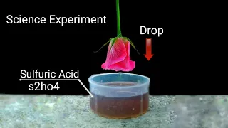 S2HO4 Acid Vs Flower| #shorts