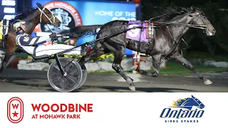 2019 OSS Gold Super Finals: 3YO Colts & Geldings Trot | Woodbine, Mohawk Park, October 12 - Race 9