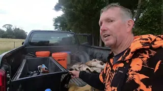 Possum trapping 100 traps for cash.
