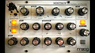 Moog Minitaur - Playing The Presets - 2023 Edition