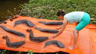 Unique_Fishing: Use a large tarpaulin to build fish trap catch a lot of fish