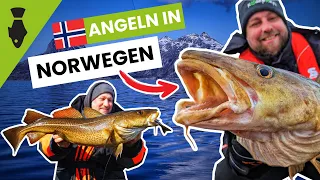 Angeln in Norwegen auf Großdorsch und Heilbutt mit Naturköder, Pilker und Gummifisch