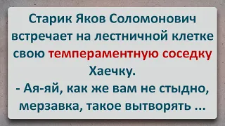 ✡️ Старик Яков Соломонович и Темпераментная Хаечка! Еврейские Анекдоты! Выпуск #129