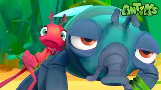 Oddbods Presentan: Antiks | Pegado a Ti | Dibujos Animados Divertidos para Niños