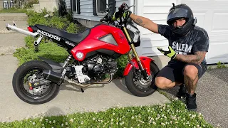 Why the Honda Grom is the best motorcycle ever made!!