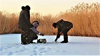 ЭТА ЖЕРЛИЦА В УГЛУ ЗАТАЩИЛА ВСЮ РЫБАЛКУ! ТУТ БЫЛА РАЗДАЧА ЩУКИ.