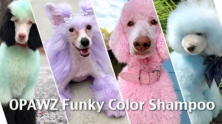 OPAWZ Pet Coloring Shampoo - Safe For All Pets!