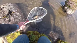 Mountain lake fishing with a Tenkara rod.