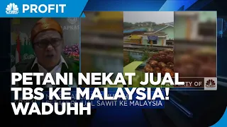 Jual TBS Sawit ke Malaysia, Petani: Kami Siap Kena Sanksi!