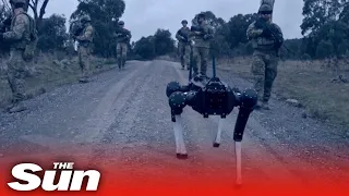 Telepathic robot war dogs commanded by soldiers’ THOUGHTS trialled