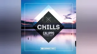 Calippo - Never Really Liked You (Paige & Space Disco Remix )