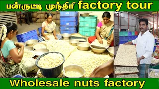 பண்ருட்டி முந்திரி பழம் முதல் Packing வரை | Cashew Nut Processing Units | 100% Organic Cashew Nut