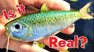 Making a Pilchard lure, Mahi trolling lure DIY  #luremaking #lurefishing #trolling