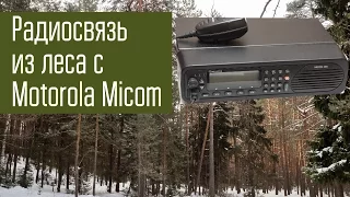 Радиосвязь на КВ из полевых условий зимой. Motorola Micom 2ES. Диапазоны 7 и 3.7 МГц.