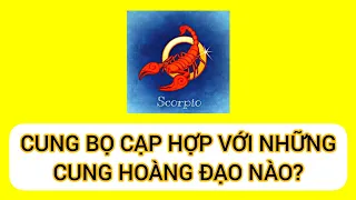 Cung Bọ Cạp hợp với những cung hoàng đạo nào | Bí mật cung Bọ Cạp