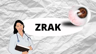 ZRAK - Anatomie oka