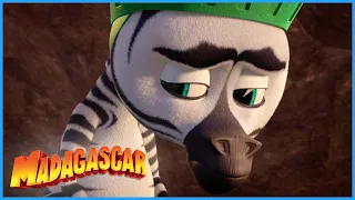 The animals comfort Marty | DreamWorks Madagascar