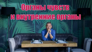 Органы чувств, внутренние органы и их взаимное влияние. | Академия Киайдо | Гранд Мастер Сонг Парк