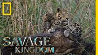 Welcome Home, Little Ones | Savage Kingdom