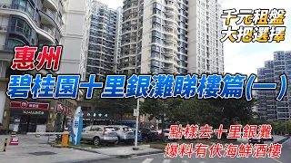 惠州碧桂園十里銀灘睇樓篇(一) | 睇四個千元租盤 | 羅湖點樣過去 | 有伏海鮮酒樓 |