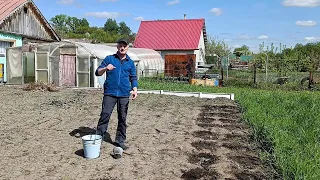 ПХД на дачном участке! Сажаем перцы в деревне, навожу чистоту в ДОМИКЕ. Разные дела на даче #30соток