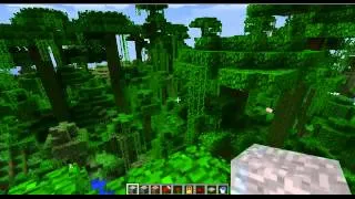 Minecraft Wavy Trees and Grass Custom Shader