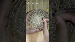 How to make a Weaver bird nest at home ll #video #shorts