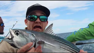 Skipjack/Bonito [Catch N' Cook] Costa Rica Fishing