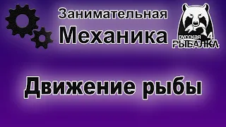 Занимательная механика в Русской Рыбалке 4. Откуда плывет рыба? От удилища или игрока ?