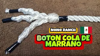 COMO hacer el  BOTON COLA DE MARRANO de TRES cabos