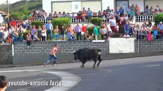 O toiro pegou, Norte Pequeno 2017 Ilha São Jorge