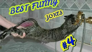 Best funny jokes 4