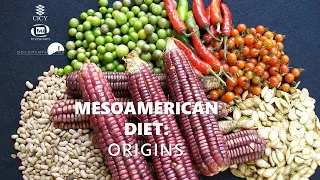 Mesoamerican diet: Origins