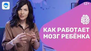 Нейропсихология. Как развить мозг ребенка? Медлительный ребенок с нарушениями сна, что делать?