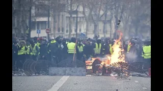 Желтые жилеты с двуглавым орлом. Кто стоит за французскими протестами? Факти тижня, 16.02