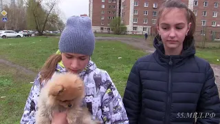Школьница поблагодарила полицейских за возвращение похищенного щенка