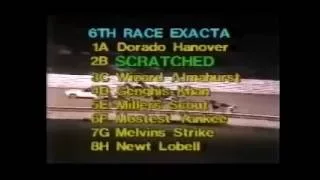 1981 Yonkers Raceway DORADO HANOVER Open Pace