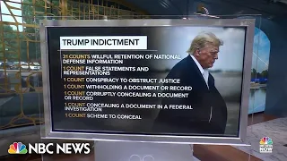 Trump indictment charges paint ‘damaging portrait of reckless and criminal behavior’